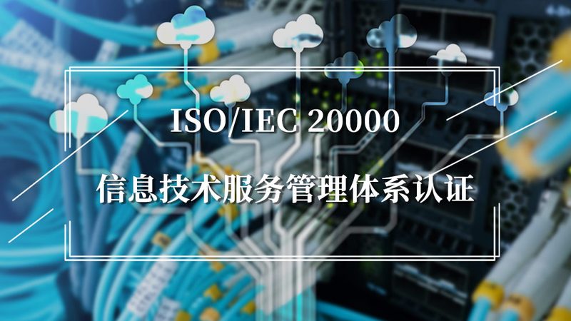 ERP实施与IT咨询：企业数字化转型的双翼