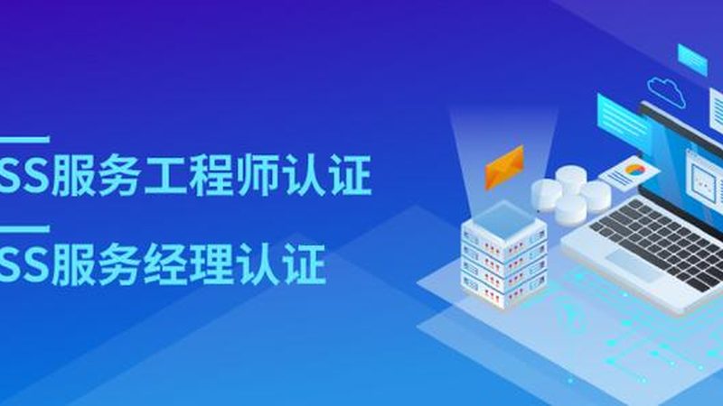 大型企业驻场运维服务案例