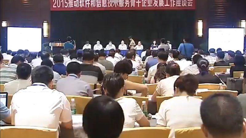 配置参数如何影响信息技术服务价格**